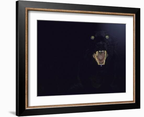 Dramatic of Black Panther, Camouflaged by Darkness, with Eyes and Open Mouth Visible-John Dominis-Framed Photographic Print