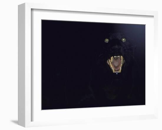 Dramatic of Black Panther, Camouflaged by Darkness, with Eyes and Open Mouth Visible-John Dominis-Framed Photographic Print