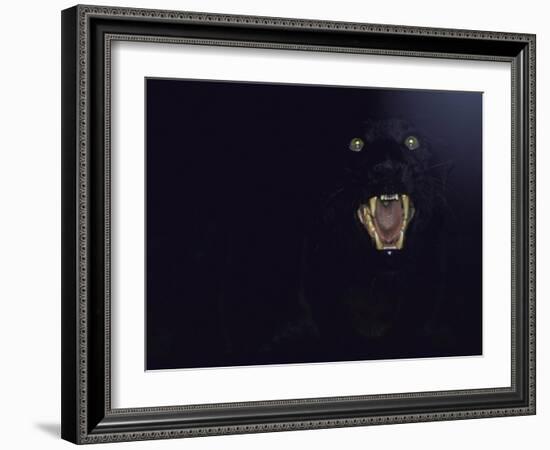 Dramatic of Black Panther, Camouflaged by Darkness, with Eyes and Open Mouth Visible-John Dominis-Framed Photographic Print