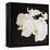 Dramatic Orchid 2-Susannah Tucker-Framed Stretched Canvas