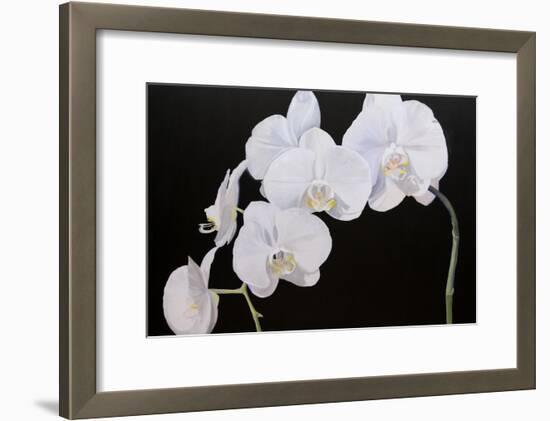 Dramatic Orchids I-Sandra Iafrate-Framed Art Print