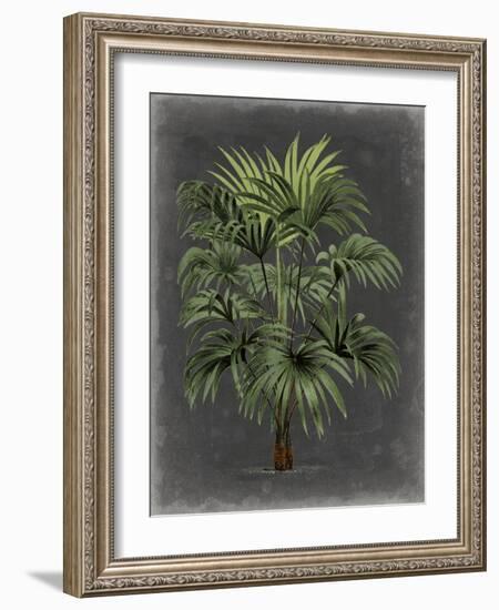 Dramatic Palm I-Vision Studio-Framed Art Print