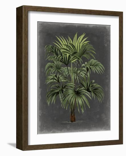 Dramatic Palm I-Vision Studio-Framed Art Print