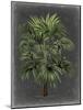 Dramatic Palm I-Vision Studio-Mounted Art Print