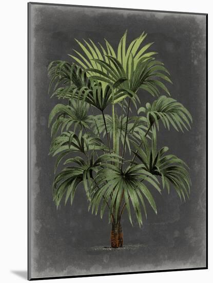 Dramatic Palm I-Vision Studio-Mounted Art Print