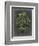 Dramatic Palm I-Vision Studio-Framed Premium Giclee Print