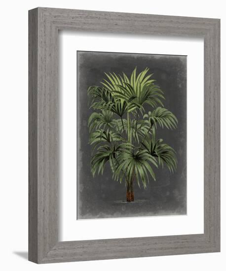 Dramatic Palm I-Vision Studio-Framed Premium Giclee Print