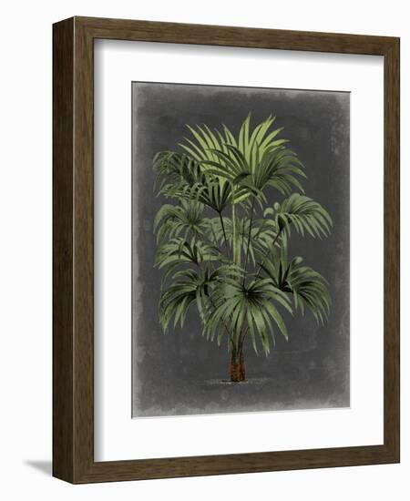 Dramatic Palm I-Vision Studio-Framed Premium Giclee Print