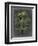 Dramatic Palm I-Vision Studio-Framed Premium Giclee Print