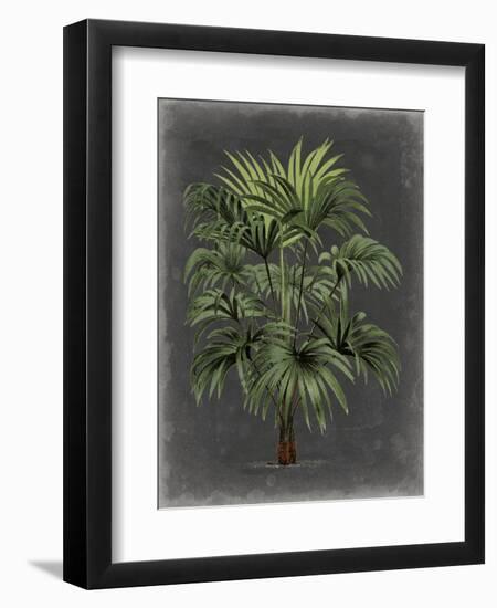 Dramatic Palm I-Vision Studio-Framed Premium Giclee Print