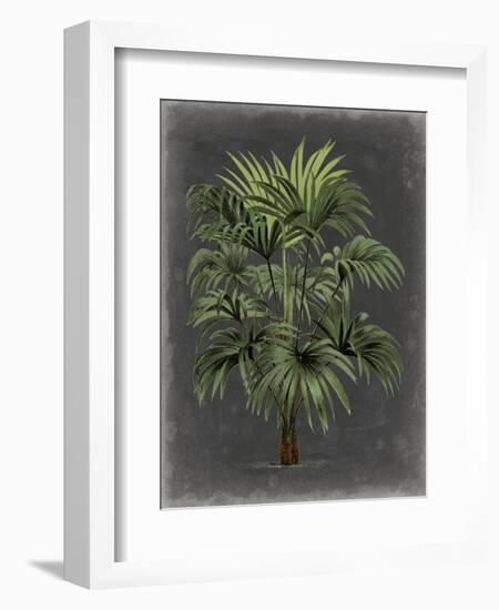 Dramatic Palm I-Vision Studio-Framed Premium Giclee Print