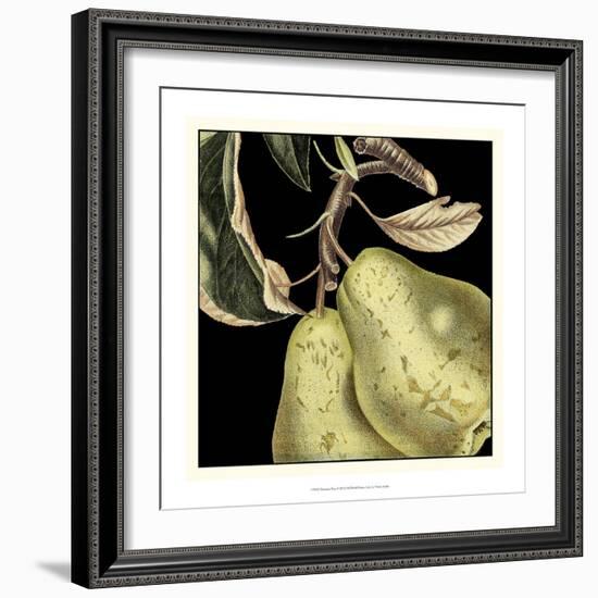 Dramatic Pear-Vision Studio-Framed Art Print