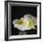 Dramatic Petals 2-Susannah Tucker-Framed Art Print