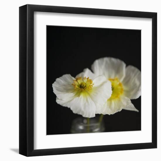 Dramatic Petals 2-Susannah Tucker-Framed Art Print