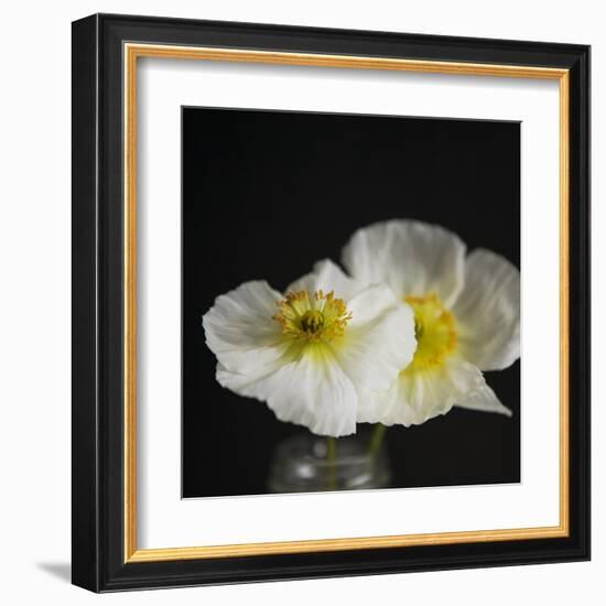 Dramatic Petals 2-Susannah Tucker-Framed Art Print