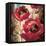 Dramatic Poppy-Brent Heighton-Framed Stretched Canvas