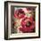 Dramatic Poppy-Brent Heighton-Framed Art Print