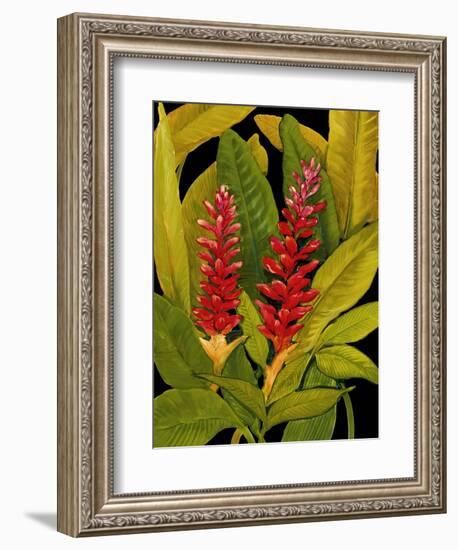 Dramatic Red Ginger-Tim O'toole-Framed Art Print