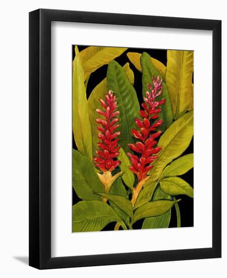 Dramatic Red Ginger-Tim O'toole-Framed Art Print