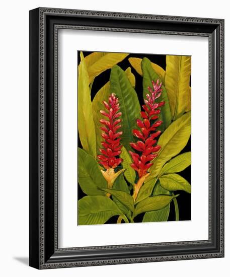 Dramatic Red Ginger-Tim O'toole-Framed Art Print