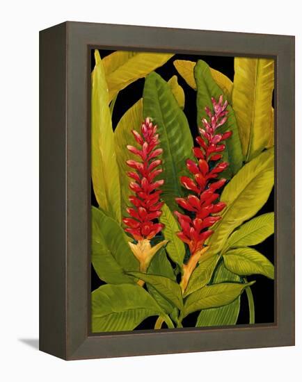 Dramatic Red Ginger-Tim O'toole-Framed Stretched Canvas