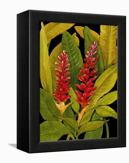 Dramatic Red Ginger-Tim O'toole-Framed Stretched Canvas