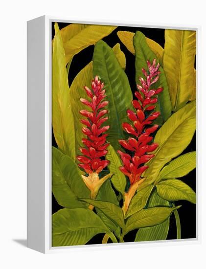 Dramatic Red Ginger-Tim O'toole-Framed Stretched Canvas