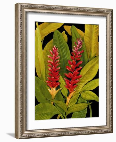 Dramatic Red Ginger-Tim O'toole-Framed Art Print