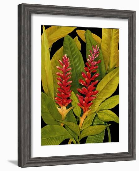 Dramatic Red Ginger-Tim O'toole-Framed Art Print