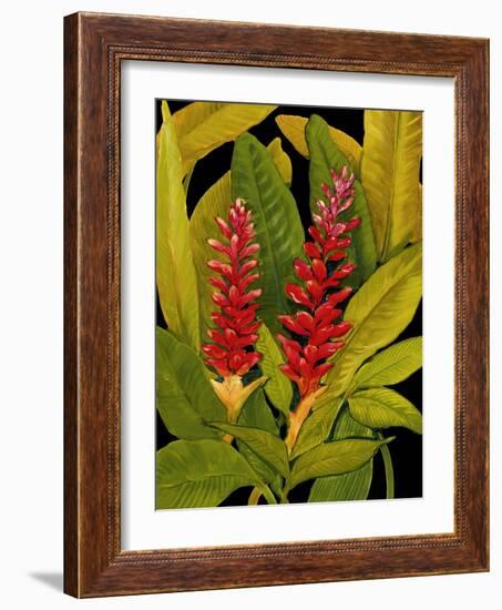 Dramatic Red Ginger-Tim O'toole-Framed Art Print