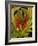 Dramatic Red Ginger-Tim O'toole-Framed Art Print