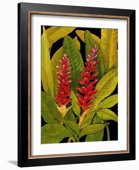 Dramatic Red Ginger-Tim O'toole-Framed Art Print