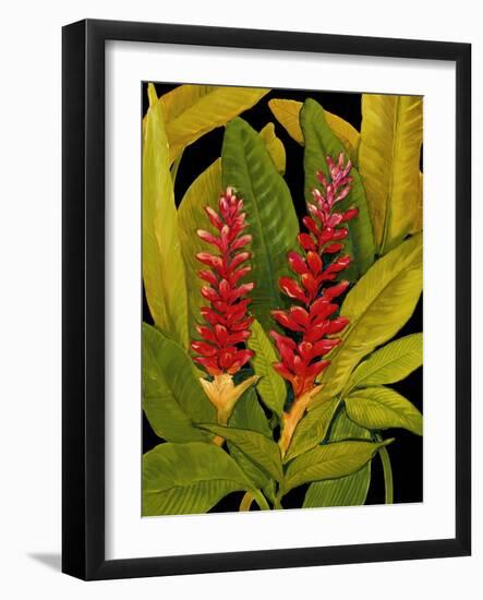 Dramatic Red Ginger-Tim O'toole-Framed Art Print