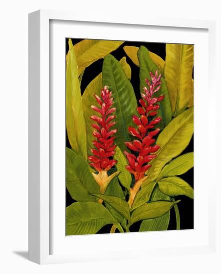 Dramatic Red Ginger-Tim O'toole-Framed Art Print