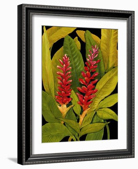 Dramatic Red Ginger-Tim O'toole-Framed Art Print