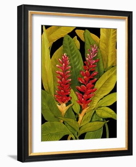 Dramatic Red Ginger-Tim O'toole-Framed Art Print