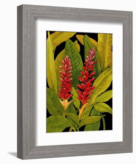 Dramatic Red Ginger-Tim O'toole-Framed Premium Giclee Print