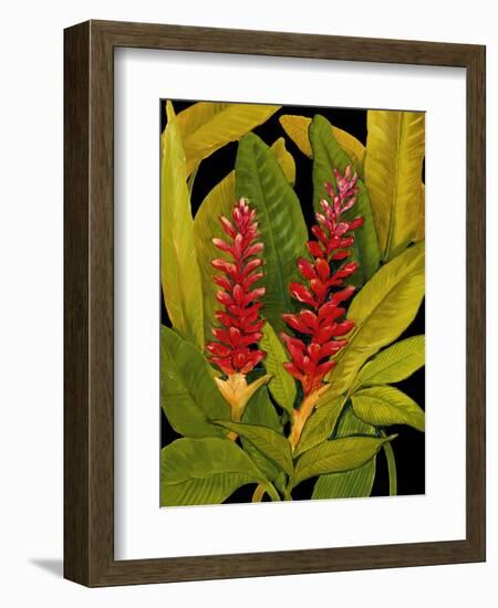 Dramatic Red Ginger-Tim O'toole-Framed Premium Giclee Print