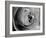 Dramatic Rose-Nicole Katano-Framed Photo