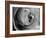 Dramatic Rose-Nicole Katano-Framed Photo