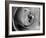 Dramatic Rose-Nicole Katano-Framed Photo