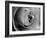 Dramatic Rose-Nicole Katano-Framed Photo