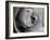 Dramatic Rose-Nicole Katano-Framed Photo