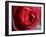 Dramatic Rose-Nicole Katano-Framed Photo