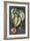 Dramatic Royal Botanical I-George Ehret-Framed Art Print