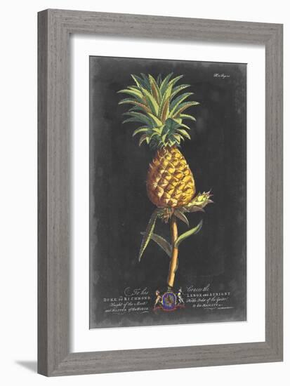 Dramatic Royal Botanical II-George Ehret-Framed Art Print