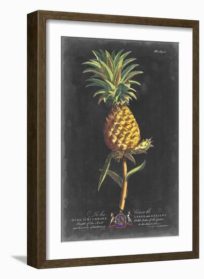 Dramatic Royal Botanical II-George Ehret-Framed Art Print