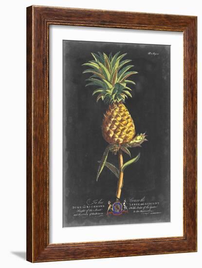 Dramatic Royal Botanical II-George Ehret-Framed Art Print