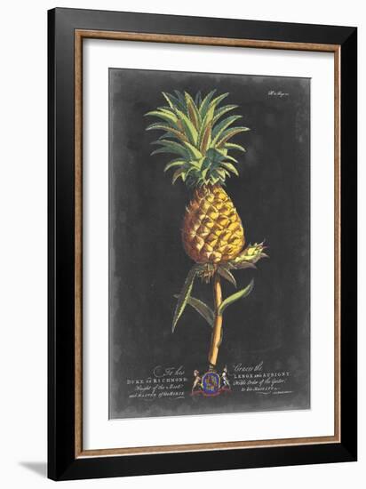 Dramatic Royal Botanical II-George Ehret-Framed Art Print