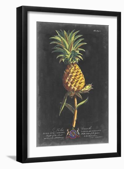 Dramatic Royal Botanical II-George Ehret-Framed Art Print